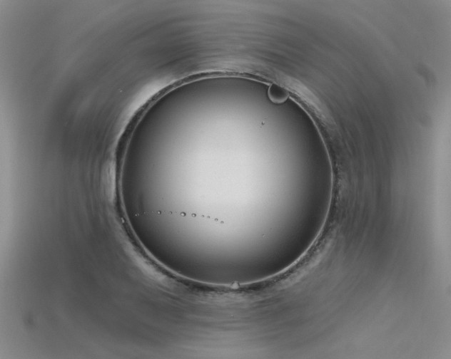 X0000115771079200911131212