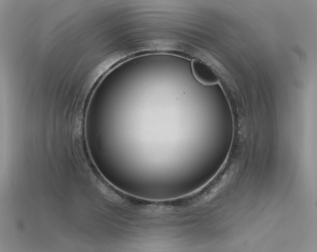 X0000115771081200911131212