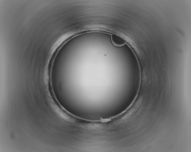 X0000115771082200911131212