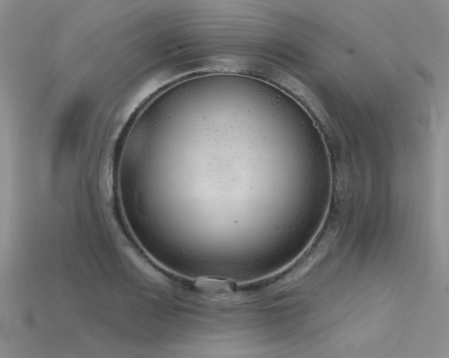 X0000115771083200911131212