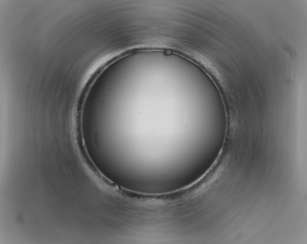 X0000115771085200911131212