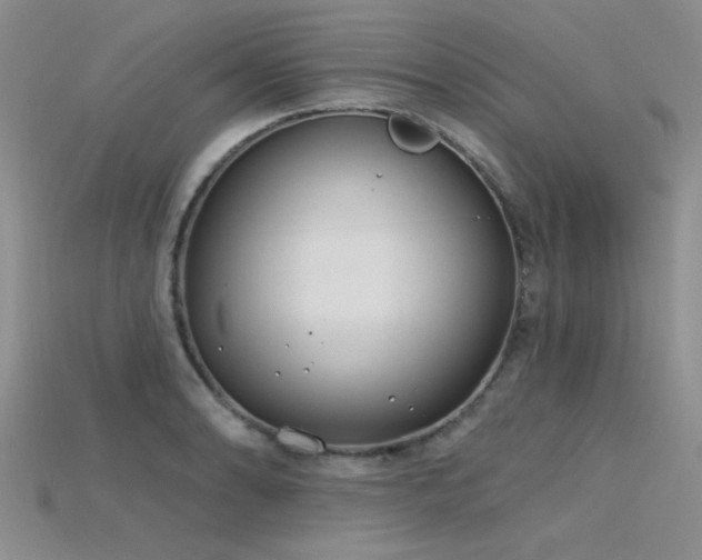 X0000115771086200911131212