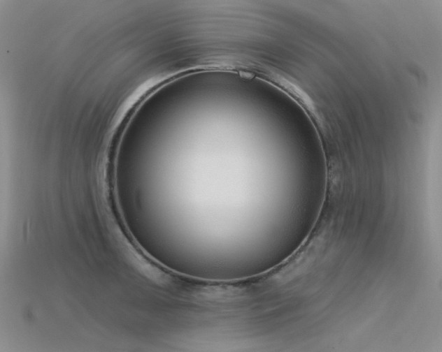 X0000115771091200911131212
