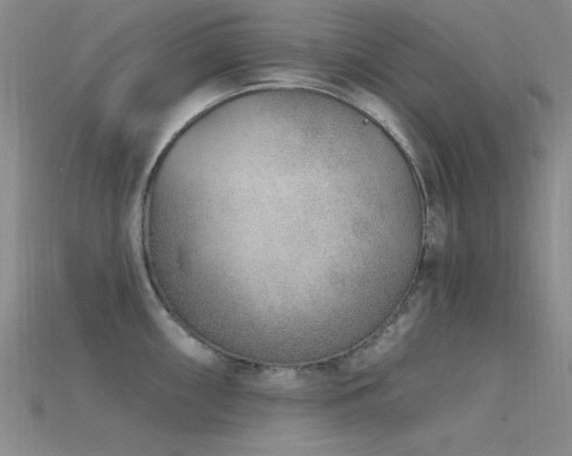 X0000115771098200911131212