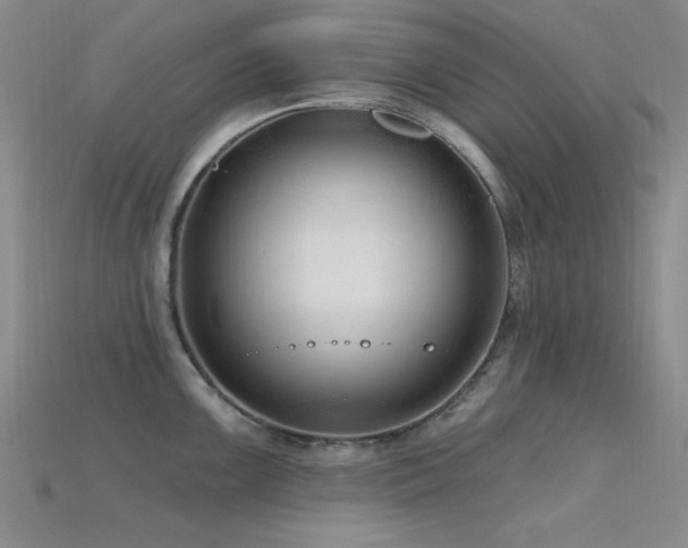 X0000115771099200911131212