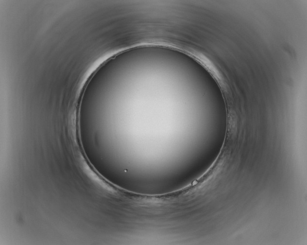 X0000115771100200911131212