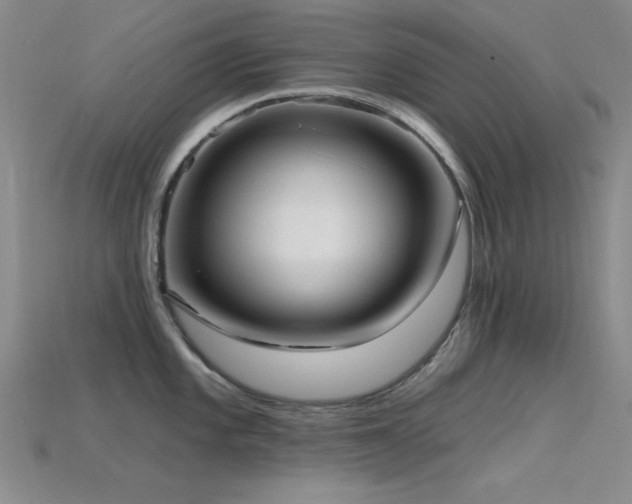 X0000115771101200911131212