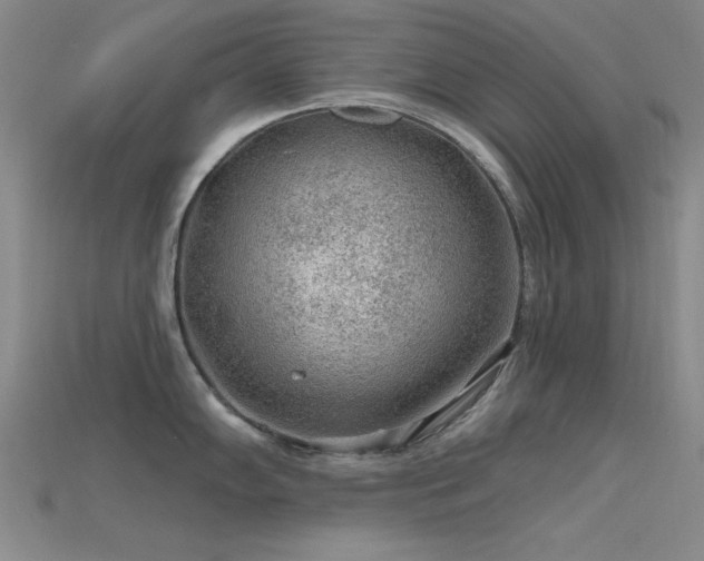 X0000115771102200911131212