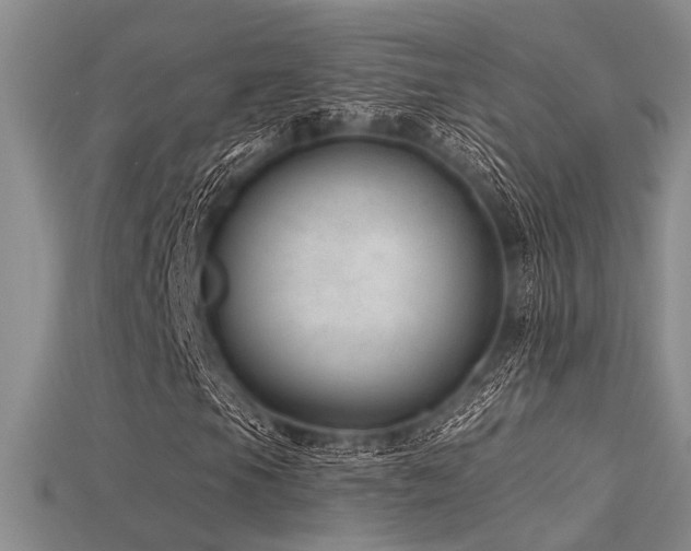 X0000115771105200911131211