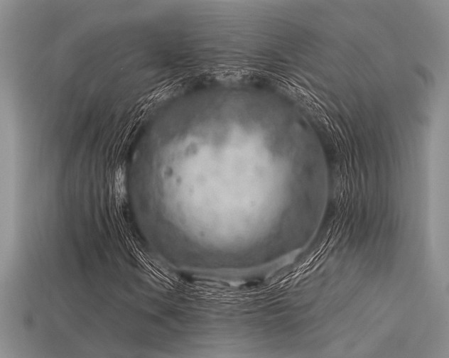 X0000115771106200911131211