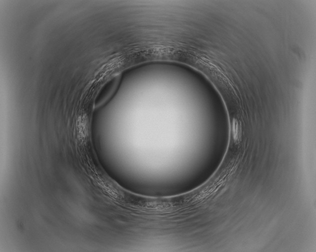 X0000115771107200911131211
