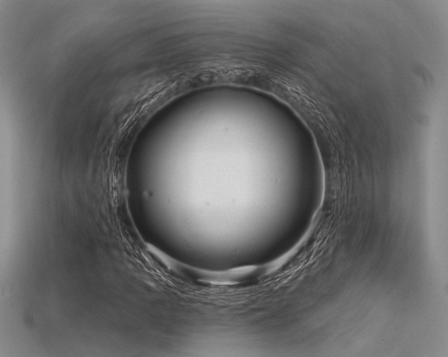 X0000115771109200911131211
