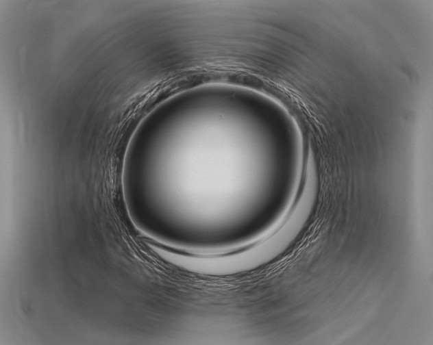 X0000115771110200911131211