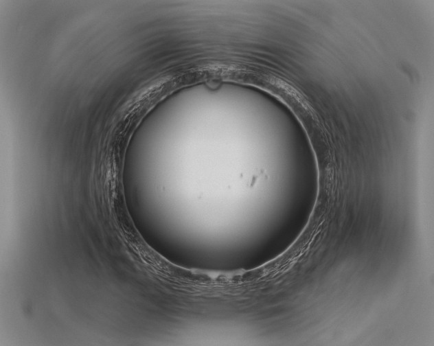 X0000115771111200911131211