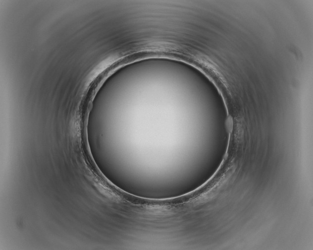 X0000115771114200911131211
