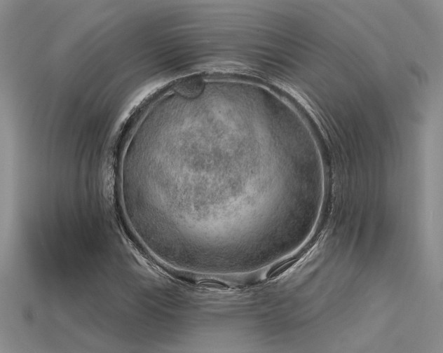 X0000115771115200911131211