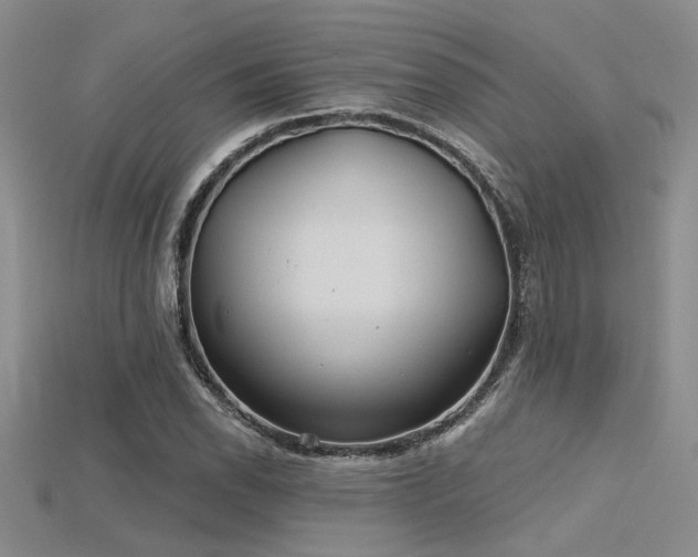 X0000115771118200911131211
