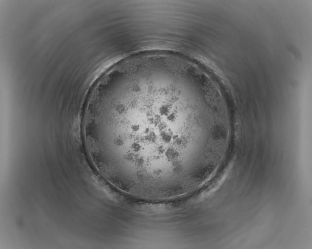 X0000115771121200911131211