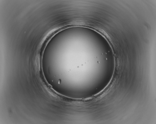 X0000115771123200911131211