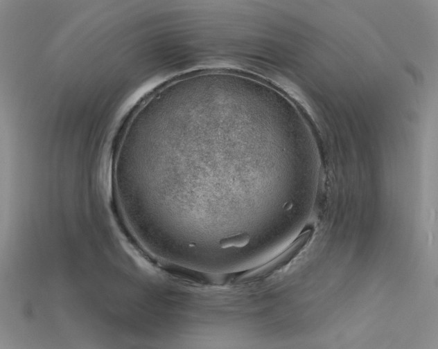 X0000115771127200911131211