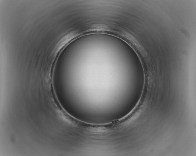 X0000115771129200911131211