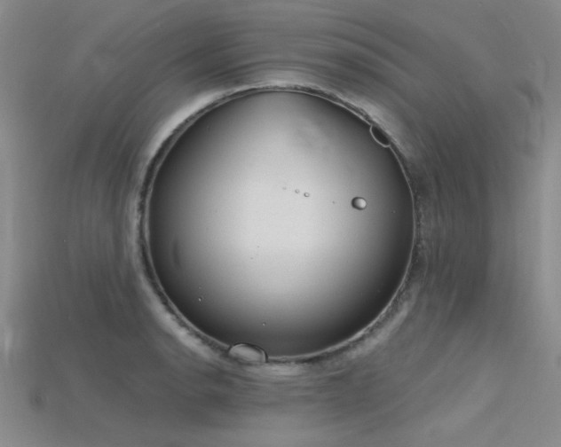 X0000115771134200911131211
