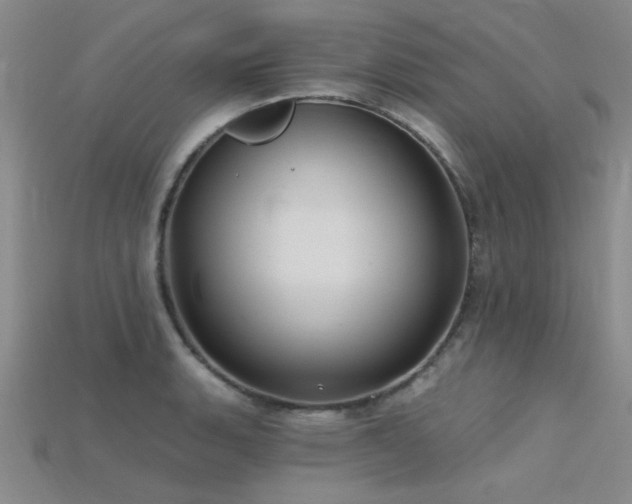 X0000115771135200911131211