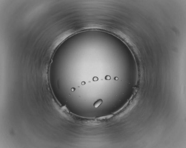 X0000115771137200911131211