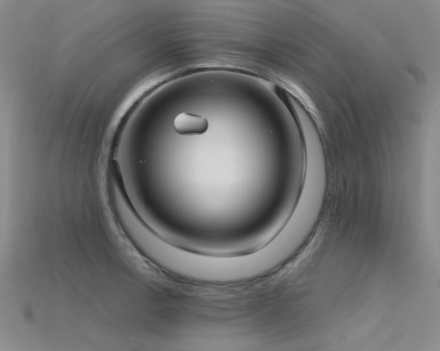 X0000115771138200911131211