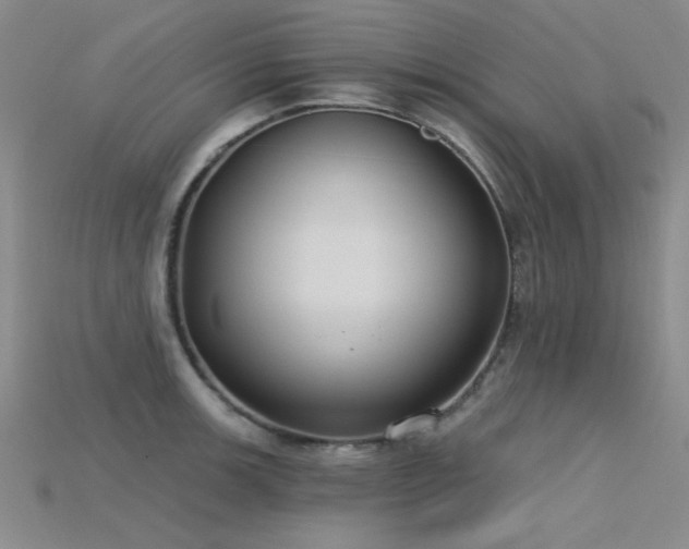 X0000115771139200911131211
