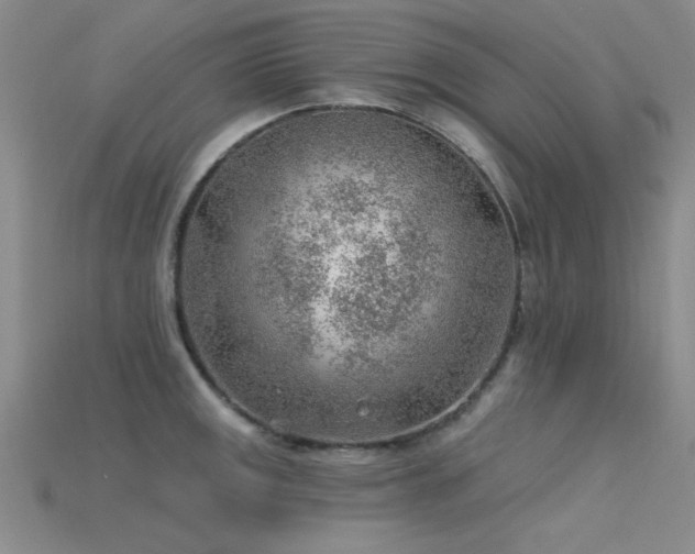 X0000115771141200911131211