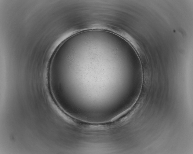 X0000115771142200911131212