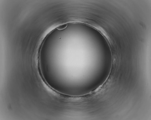 X0000115771143200911131212