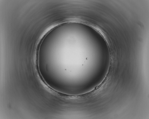 X0000115771147200911131212