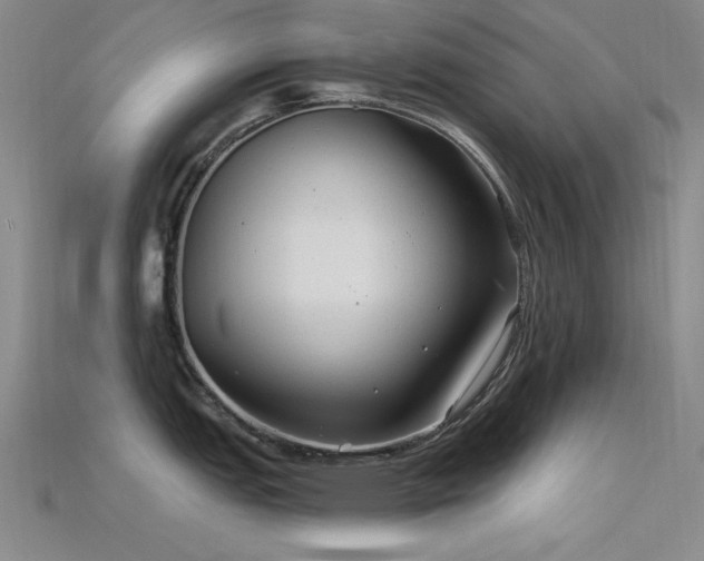 X0000115771151200911131212