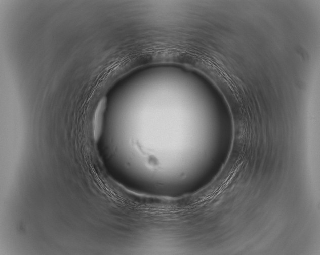 X0000115771153200911131211
