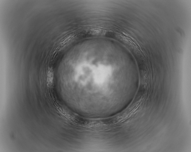 X0000115771154200911131211