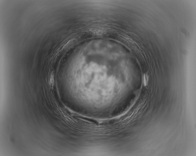 X0000115771155200911131211