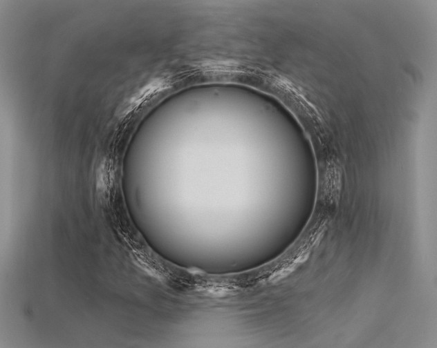 X0000115771157200911131211
