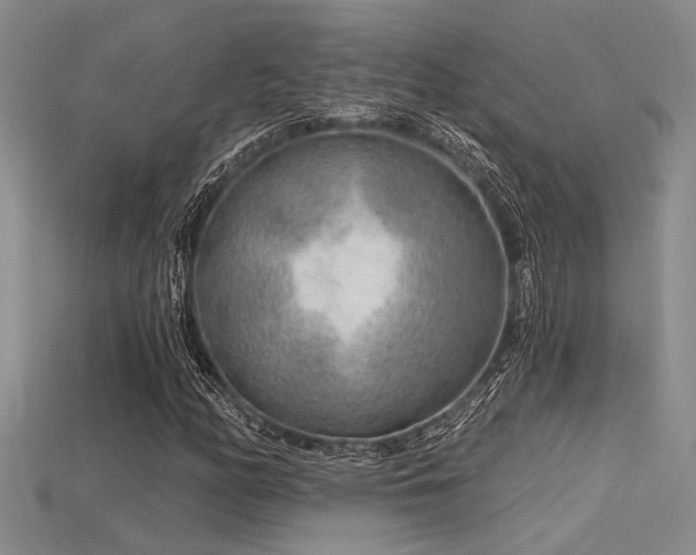 X0000115771158200911131211