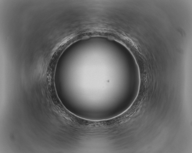 X0000115771159200911131211
