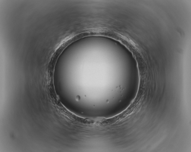 X0000115771160200911131211
