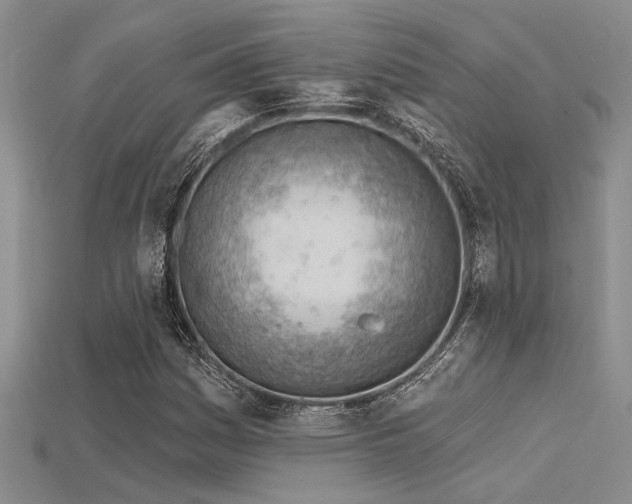 X0000115771161200911131211