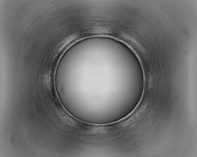 X0000115771162200911131211