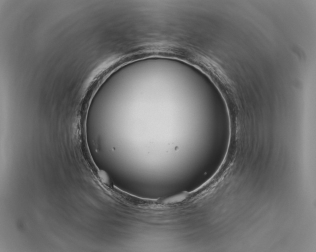 X0000115771164200911131211