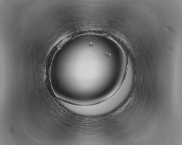 X0000115771165200911131211