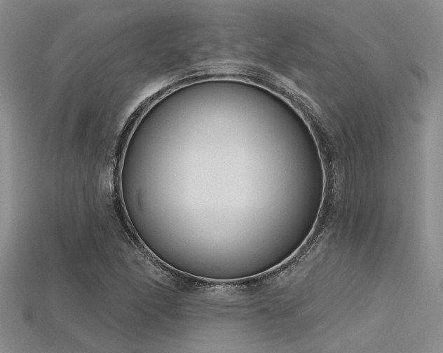X0000115771166200911131211