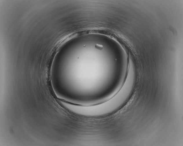 X0000115771169200911131211