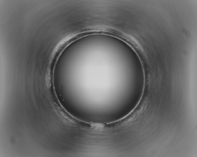 X0000115771172200911131211