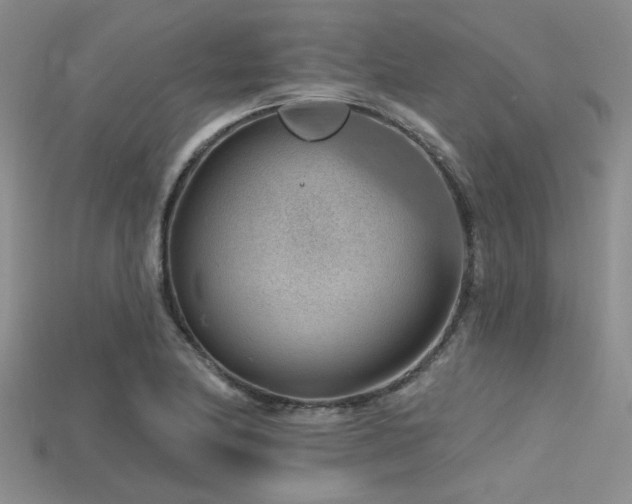 X0000115771174200911131211